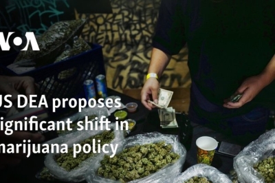 US DEA proposes significant shift in marijuana policy