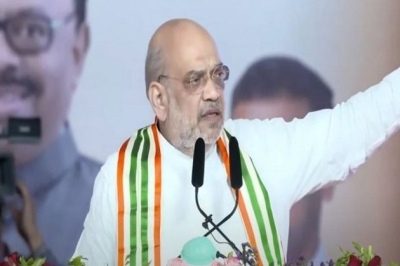 &quot;Cradled Article 370 like a baby for 70 years&quot;: Amit Shah tears into Cong over handling of J-K issue
