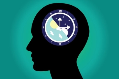 Alzheimer’s disease linked to circadian rhythm - new research in mice