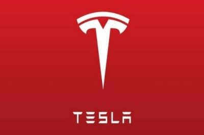 Tesla will have to be ‘vocal for local’ if they need tax sops