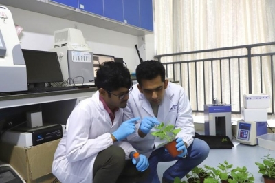 Pakistani academics sow seeds of cross-border agricultural cooperation