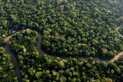 EU Steps in to Boost Amazon Rainforest Protection Plan
